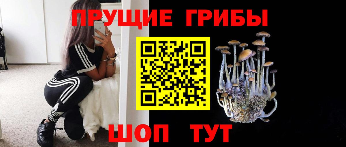 Гуково  Псилоцибиновые грибы Cubensis  Вход с VPN  Псилоцибиновые грибы мухоморы 