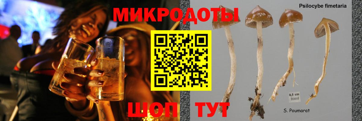 Псилоцибиновые грибы мухоморы Гуково